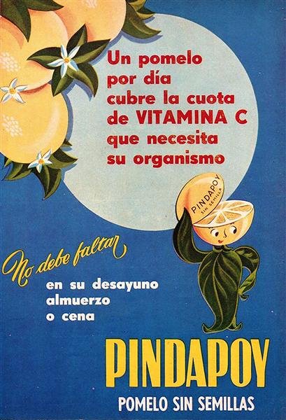 Bebidas